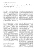 Tài liệu Báo cáo Y học: A family of expressed antifreeze protein genes from the moth, Choristoneura fumiferana ppt