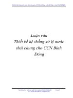 Tài liệu Đề tài:Thiết kế hệ thống xử lý nước thải chung cho CCN Bình Đông pot