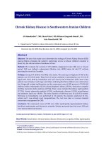 Tài liệu Chronic Kidney Disease in Southwestern Iranian Children  ppt