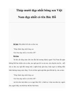 Tài liệu Tháp mười đẹp nhất bông sen Việt Nam đẹp nhất có tên Bác Hồ docx