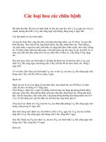 Tài liệu Các loại hoa cúc chữa bệnh docx