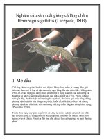 Tài liệu Nghiên cứu sản xuất giống cá lăng chấm Hemibagrus guttatus (Lacépède, 1803) docx