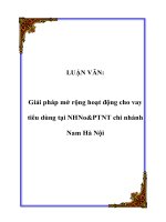 Tài liệu LUẬN VĂN: Giải pháp mở rộng hoạt động cho vay tiêu dùng tại NHNo&PTNT chi nhánh Nam Hà Nội pptx