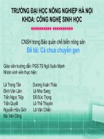 Tài liệu CNSH trong Bảo quản chế biến nông sản - Cà chua chuyển gen ppt