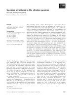 Tài liệu Báo cáo khoa học: Isochore structures in the chicken genome ppt