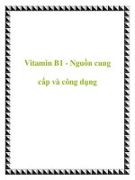 Tài liệu Vitamin B1 - Nguồn cung cấp và công dụng doc