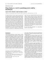 Tài liệu Báo cáo khoa học: Phage-display as a tool for quantifying protein stability determinants pptx