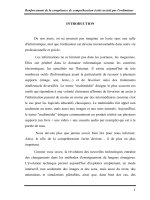 Renforcement de la compétence de compréhension écrite assisté par l'ordinateur