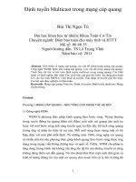 Định tuyến multicast trong mạng cáp quang