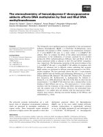 Tài liệu Báo cáo khoa học: The stereochemistry of benzo[a]pyrene-2¢-deoxyguanosine adducts affects DNA methylation by SssI and HhaI DNA methyltransferases pptx