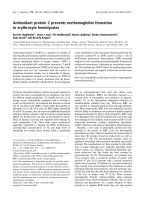 Tài liệu Báo cáo khoa học: Antioxidant protein 2 prevents methemoglobin formation in erythrocyte hemolysates doc