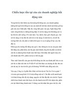 Tài liệu Chiến lược tồn tại của các doanh nghiệp bất động sản pptx