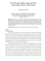 Xóa đói giảm nghèo trong quá trình tăng trưởng kinh tế ở bắc giang