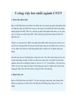 Tài liệu 5 công việc hot nhất ngành CNTT docx