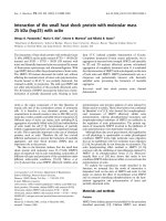 Tài liệu Báo cáo khoa học: Interaction of the small heat shock protein with molecular mass 25 kDa (hsp25) with actin doc