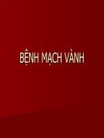 Tài liệu BỆNH MẠCH VÀNH pot