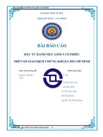 ĐẦU tư DANH MỤC gồm 3 cổ PHIẾU TRÊN sở GIAO DỊCH CHỨNG KHOÁN hố CHÍ MINH