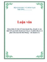 Tài liệu Luận văn: Hoàn thiện tổ chức kế toán doanh thu, chi phí và xác định kết quả kinh doanh tại Công ty cổ phần đầu tư và phát triển kim khí Hải Phòng – chi nhánh số 2 docx
