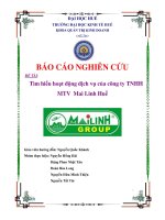 tìm hiểu hoạt động dịch vụ của công ty tnhh mtv mai linh huế