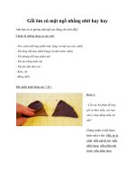 Tài liệu Gối ôm cú mặt ngố nhắng nhít hay hay pot