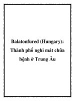 Tài liệu Balatonfured (Hungary): Thành phố nghỉ mát chữa bệnh ở Trung Âu pot
