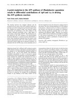 Tài liệu Báo cáo khoa học: A point mutation in the ATP synthase of Rhodobacter capsulatus results in differential contributions of DpH and Du in driving the ATP synthesis reaction pptx