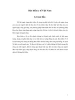 bảo hiểm y tế việt nam