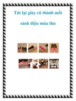 Tài liệu Tút lại giày cũ thành mốt sành điệu mùa thu pot