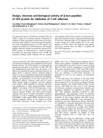 Tài liệu Báo cáo khoa học: Design, structure and biological activity of b-turn peptides of CD2 protein for inhibition of T-cell adhesion ppt