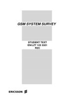 Tài liệu GSM SYSTEM SURVEY ppt