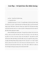 Tài liệu Lão Hạc – bi kịch bảo tồn thiên lương pot