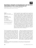 Tài liệu Báo cáo khoa học: Quantitative estimation of channeling from early glycolytic intermediates to CO2 in intact Escherichia coli pdf