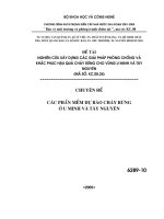 Tài liệu Nghiên cứu các giải pháp phòng chống và khắc phục hậu quả cháy rừng cho vùng U Minh và Tây Nguyên docx