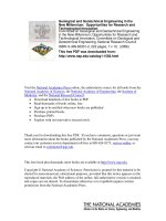 Tài liệu Geological and Geotechnical Engineering in the New Millennium: Opportunities for Research and Technological Innovation pptx