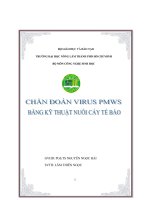 Tài liệu Tiểu luận:Chuẩn đoán virus PMWS bằng kỹ thuật nuôi cấy tế bào docx