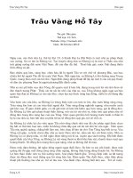 Tài liệu Trâu Vàng Hồ Tây pdf