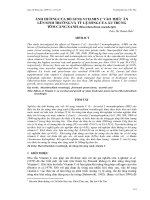 Tài liệu BÁO CÁO 