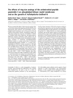 Tài liệu Báo cáo Y học: The effects of ring-size analogs of the antimicrobial peptide gramicidin S on phospholipid bilayer model membranes and on the growth of Acholeplasma laidlawii B ppt