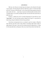 dự án mở quán kem mely