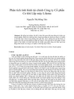 Phân tích tình hình tài chính công ty cổ phần cơ khí lắp máy lilama