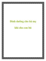 Tài liệu Dinh dưỡng cho bà mẹ khi cho con bú pdf