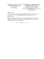 Tài liệu Đề thi học kì 1 môn Văn A lớp 11 cơ bản 2 năm 2013 trường Chu Văn An pptx