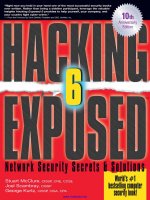 Tài liệu Hacking Exposed, 6th Edition pptx