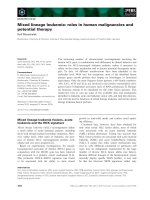 Tài liệu Báo cáo khoa học: Mixed lineage leukemia: roles in human malignancies and potential therapy pdf