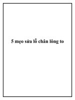 Tài liệu 5 mẹo sửa lỗ chân lông to pot