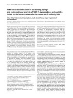 Tài liệu Báo cáo Y học: NMR-based determination of the binding epitope and conformational analysis of MUC-1 glycopeptides and peptides bound to the breast cancer-selective monoclonal antibody SM3 pptx