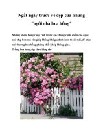 Tài liệu Ngất ngây trước vẻ đẹp của những khóm hồng docx