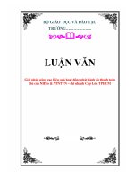 Tài liệu LUẬN VĂN: Giải pháp nâng cao hiệu quả hoạt động phát hành và thanh toán thẻ của NHNo & PTNTVN – chi nhánh Chợ Lớn TPHCM ppt