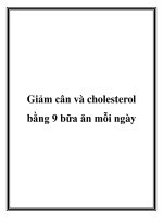 Tài liệu Giảm cân và cholesterol bằng 9 bữa ăn mỗi ngày pdf
