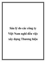 Tài liệu Sáu lý do các công ty Việt Nam nghĩ đến việc xây dựng Thương hiệu pdf